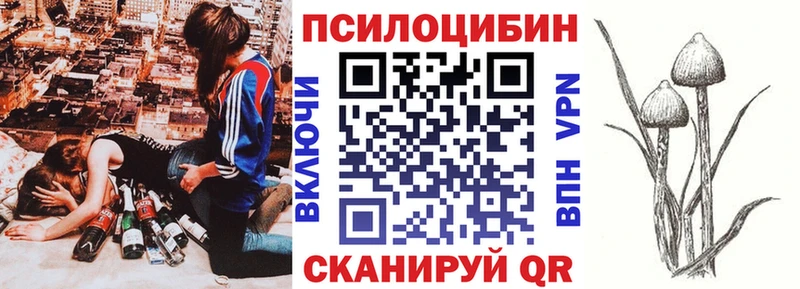Псилоцибиновые грибы Psilocybine cubensis купить сайты Балашиха