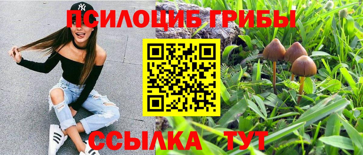 Псилоцибиновые грибы Psilocybine cubensis  даркнет сайт  Балашиха  Вход с VPN  Галлюциногенные грибы Psilocybine cubensis 