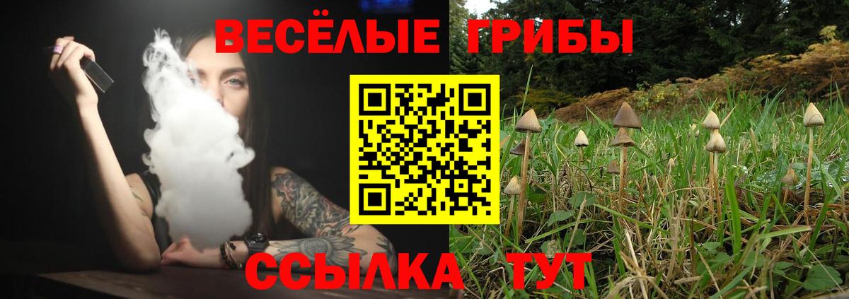 Псилоцибиновые грибы прущие грибы  Балашиха 